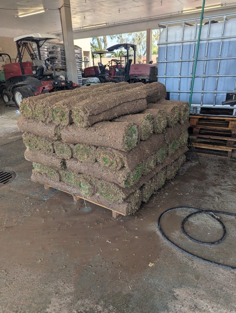 Sod For Sale