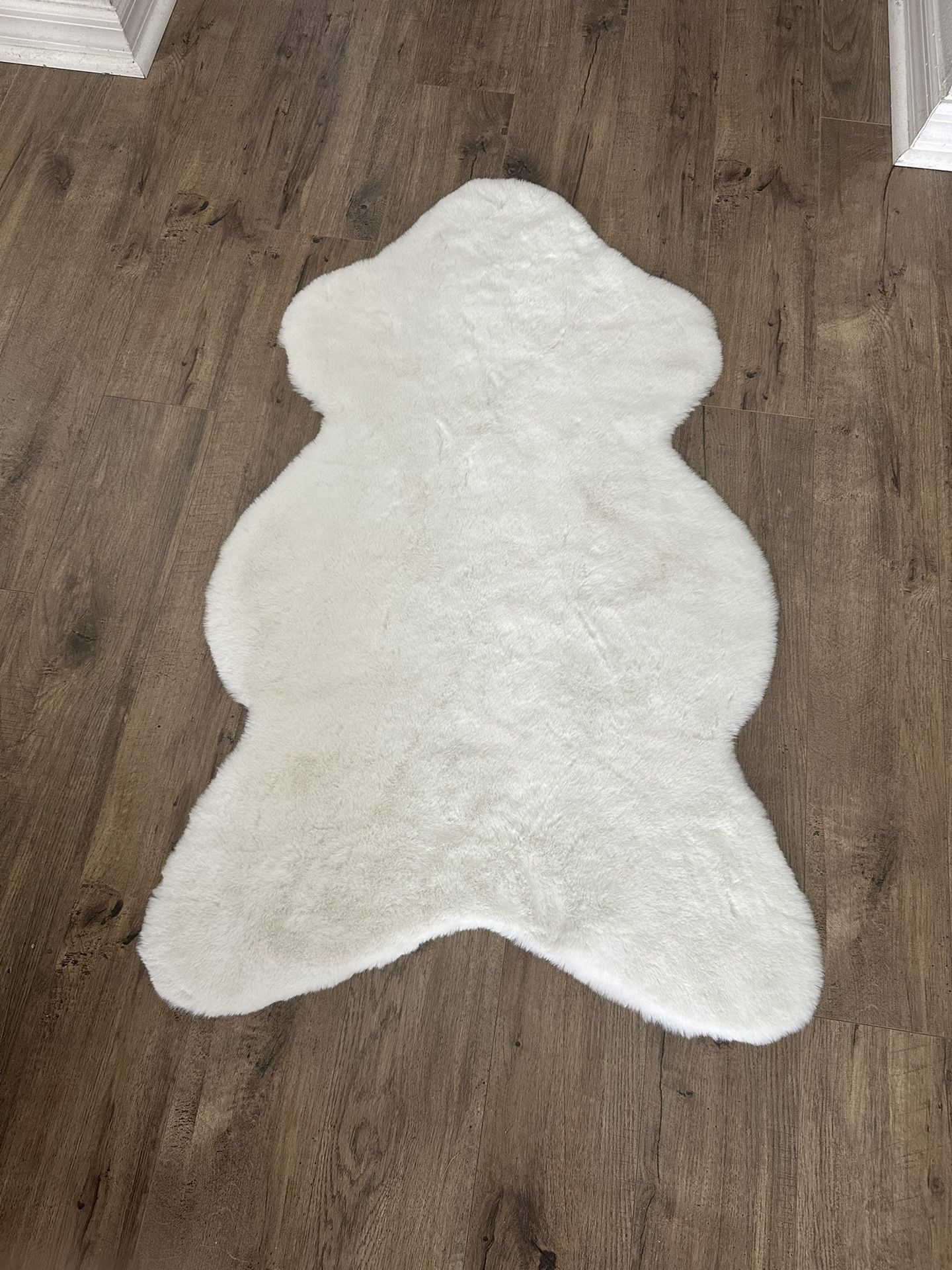 Bear Skin Rug