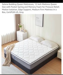Queen Mattress