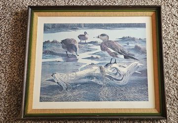 Duck prints