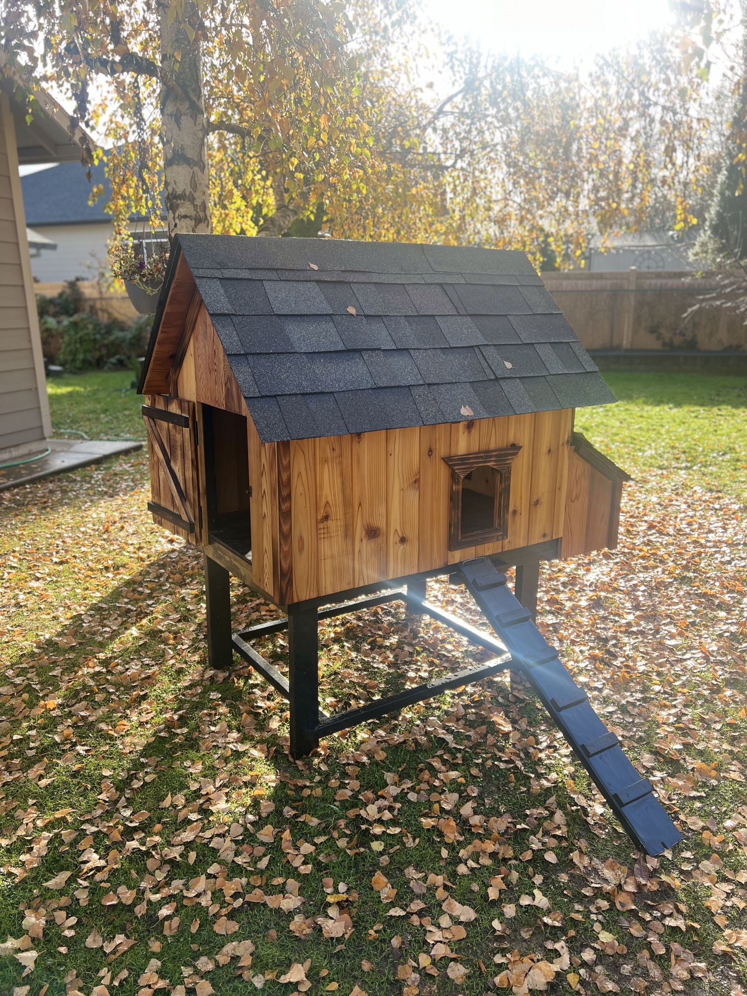 Chicken Coop