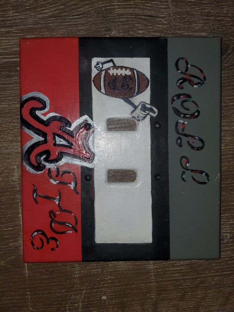 Hand Painted Light Switch Cover