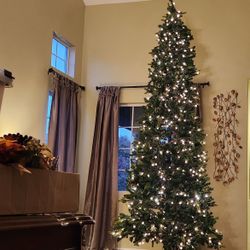 12ft Pre-lit Frasier Fur Christmas Tree 