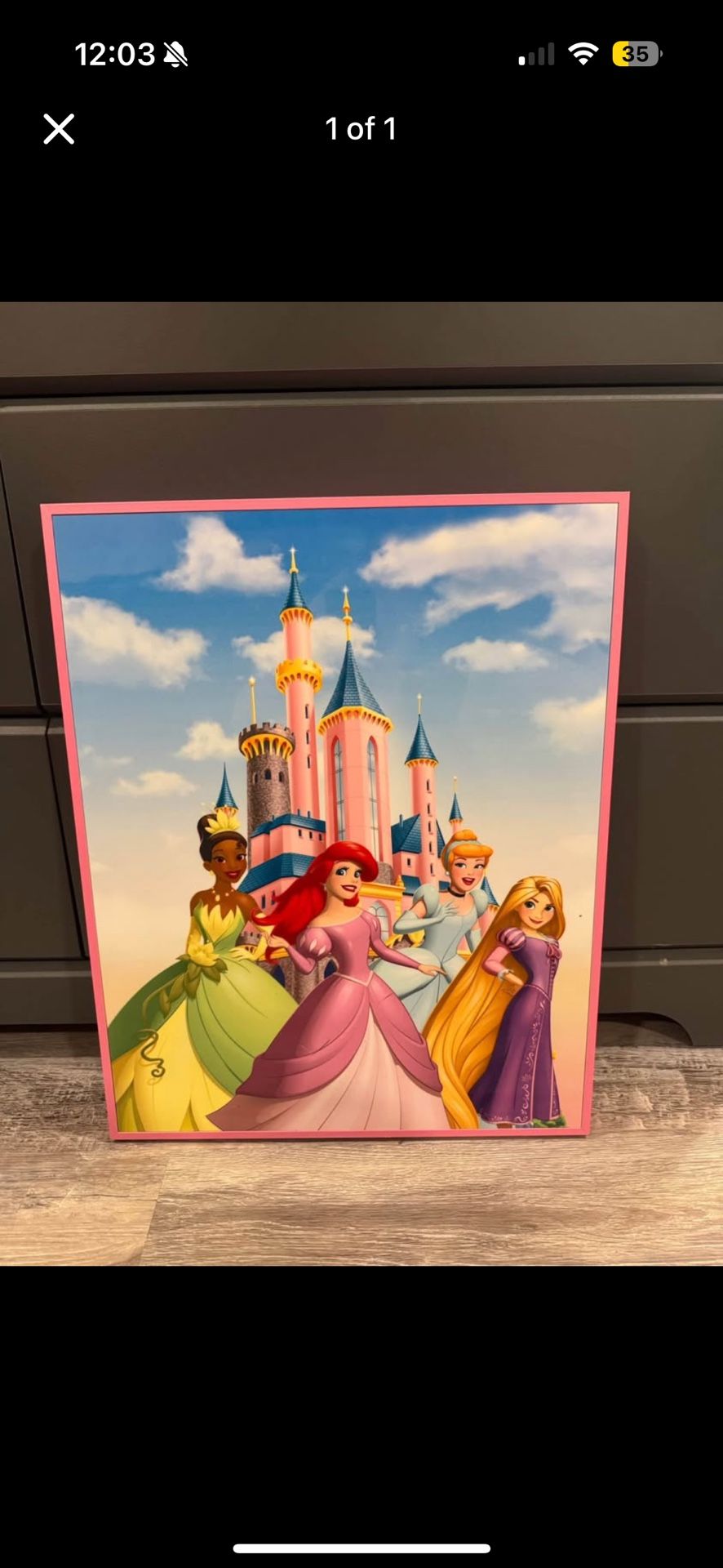 Princess Wall Decor