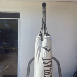 Everlasting Punching Bag With Stand 