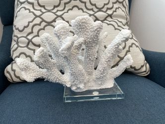Coral Decor