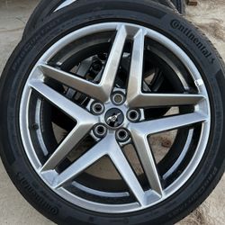 Mustang Parts 2024-2025