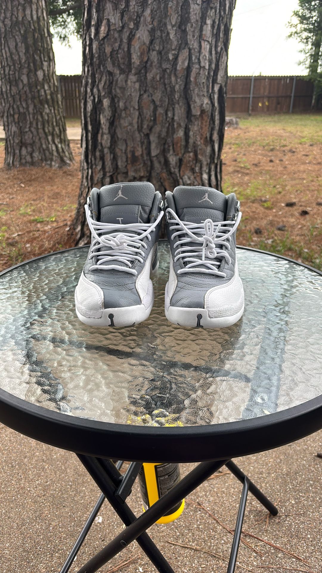 Stealth Jordan 12s
