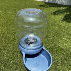Dog Bowl Reservoir