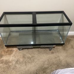 75 Gallon Aquarium 