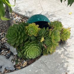 Mountain Flowers Ball Pot, $15