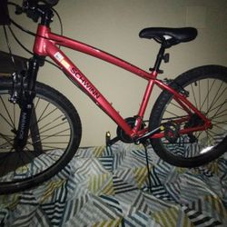 Schwinn Bike