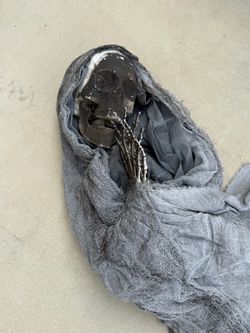 Used hanging skeleton
