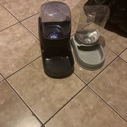 Water For Cats Or Dogs