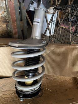 BRAND NEW Struts