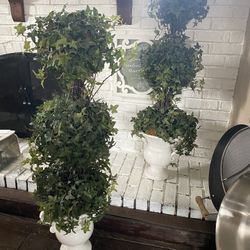 Set of Topiary Plants In Vases