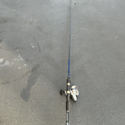 Shakespeare Firebird Carp Combo