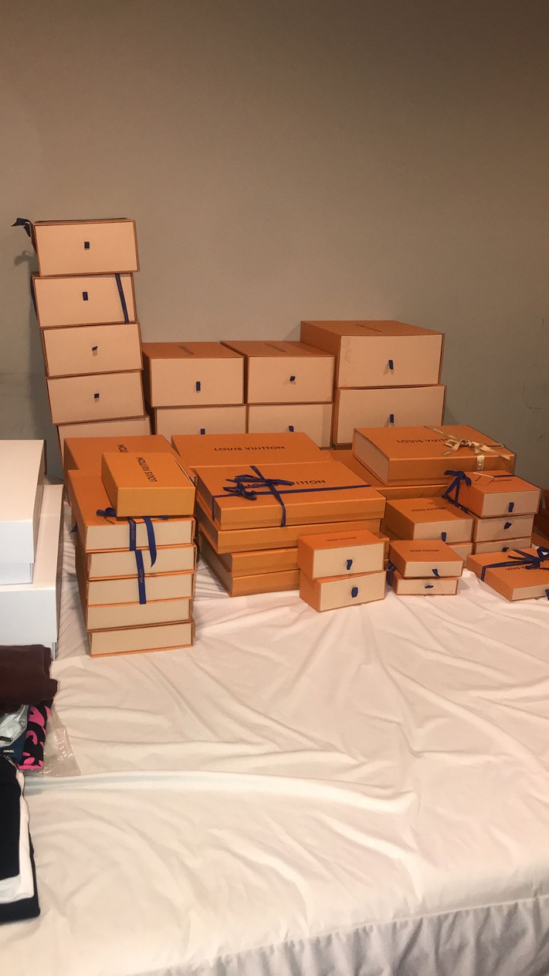 Louis Vuitton Boxes, Bags, Dust Bags, Garment Bags, Ribbons