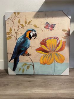 Brand new Beautiful parrot canvas  32x32