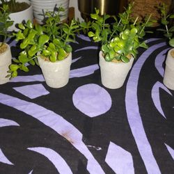 Mini Potted Plants Plastic Faux Artificial Fake