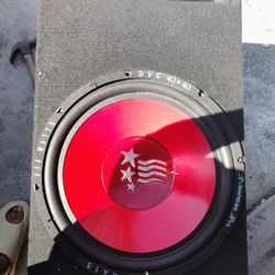 15 Inch American Pro Subwoofer 