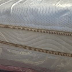 12"thick Queen Euro-Pillow Top Saatva Set