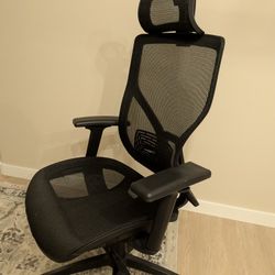 Ergonomic Mesh Office Chair with Headrest – Excellent Condition