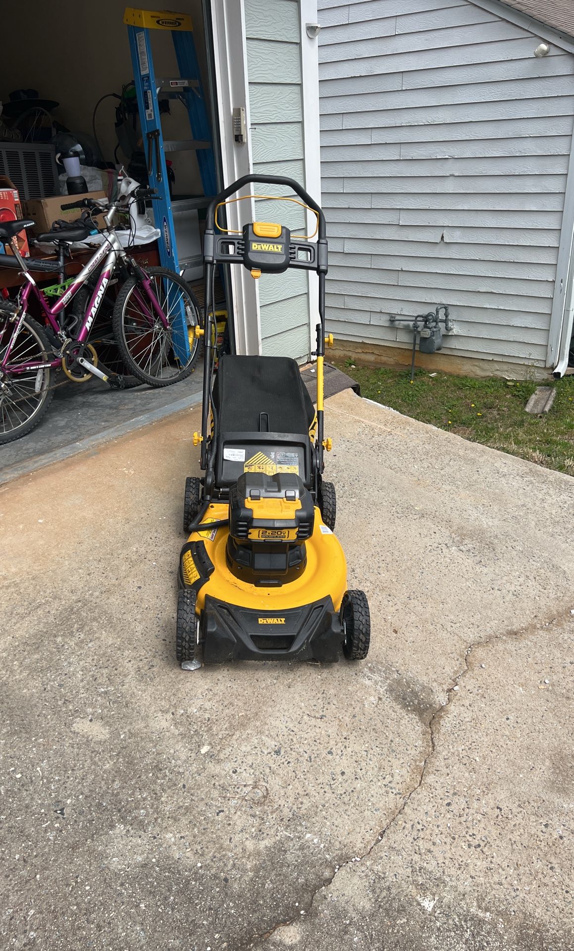 Dewalt