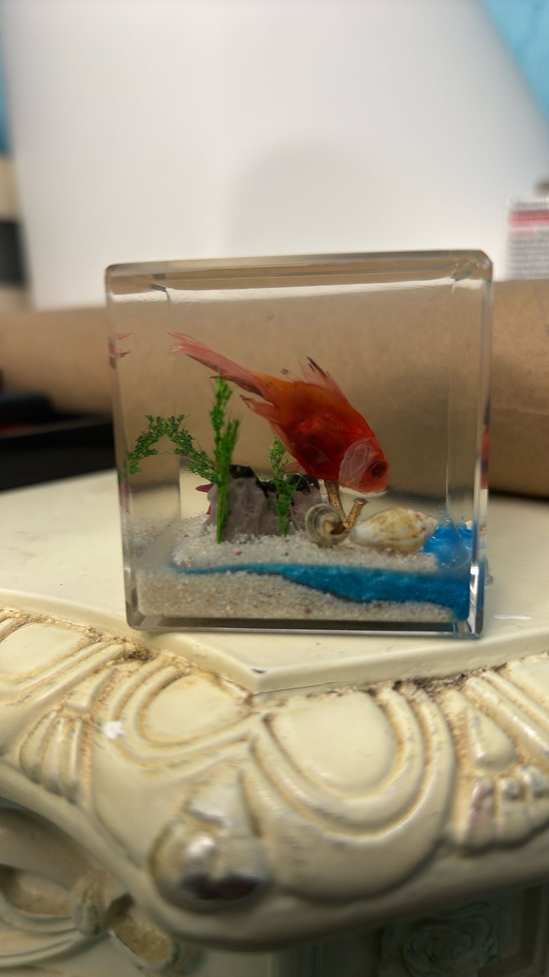 Fish Taxidermy And Tiny Crab Taxidermy