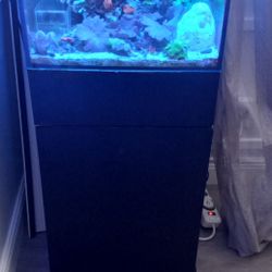 Saltwater Tank 29 Gallon