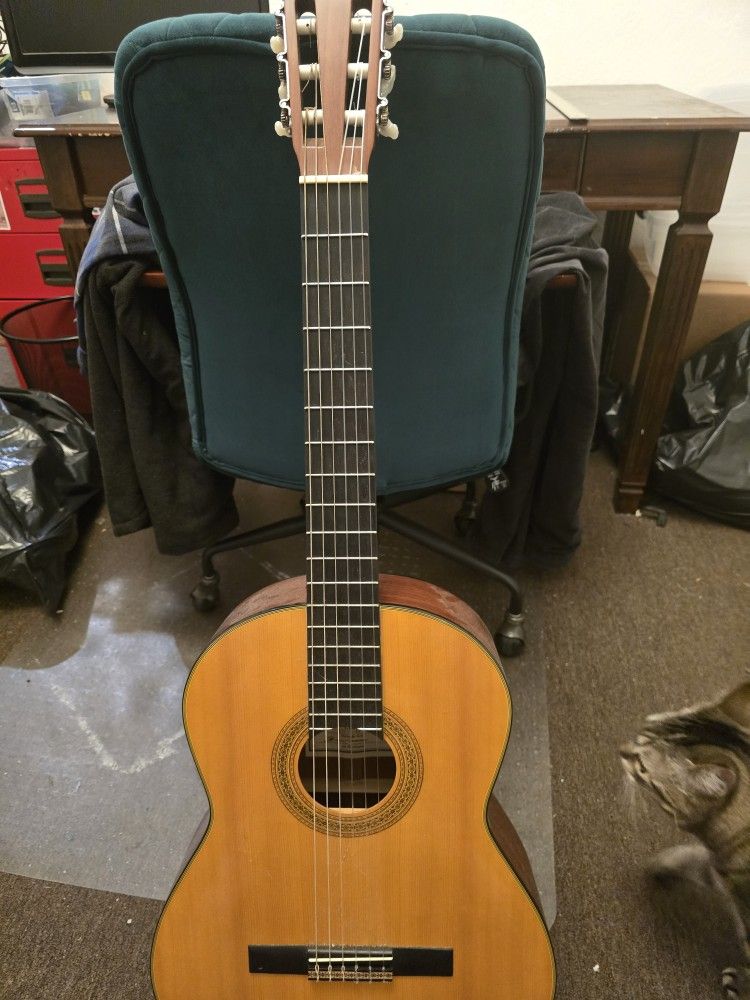 Enrique Tapicas C40 Classical Guitar by Washburn