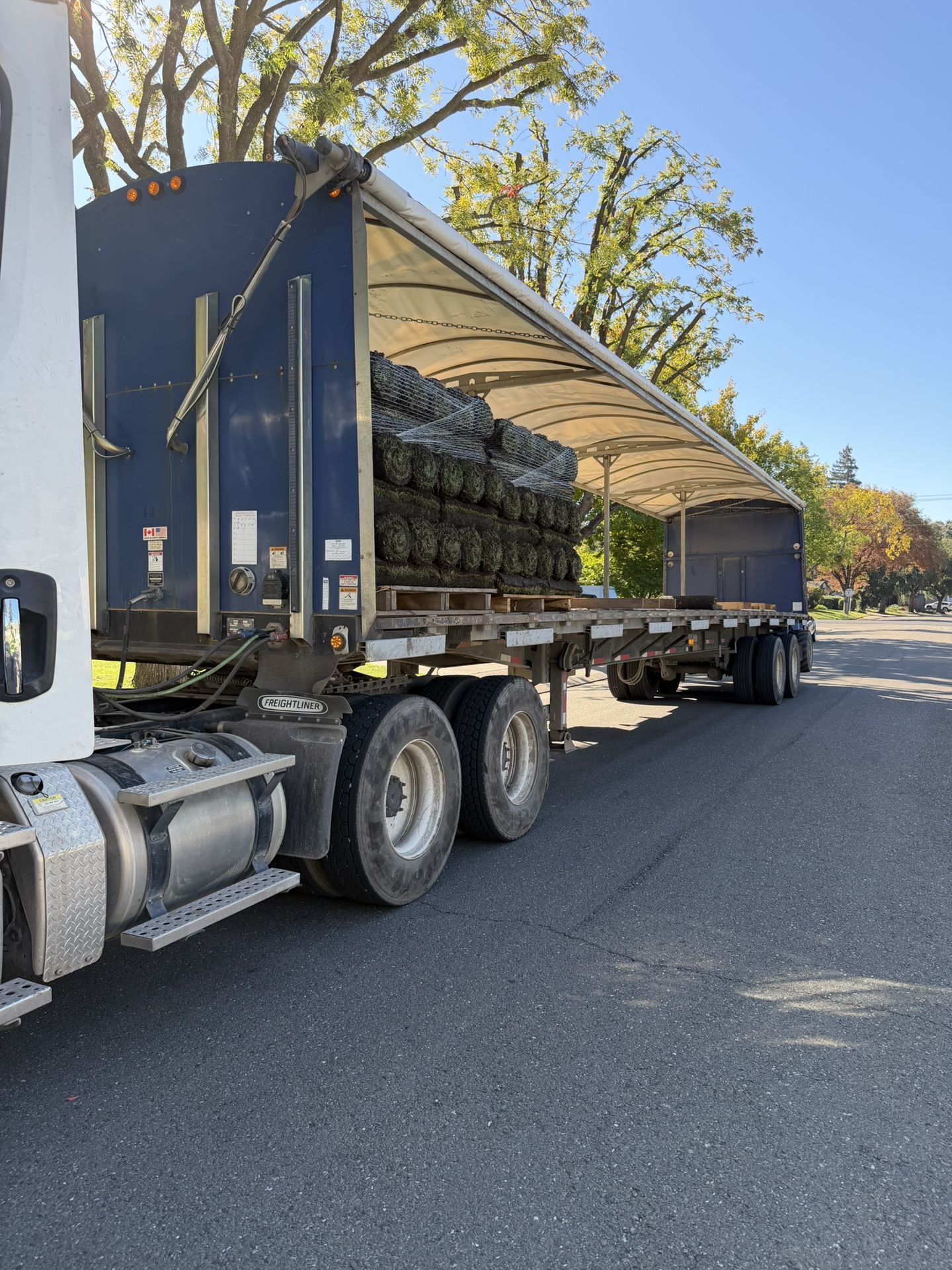 1000 Sq Foot Sod Fescue