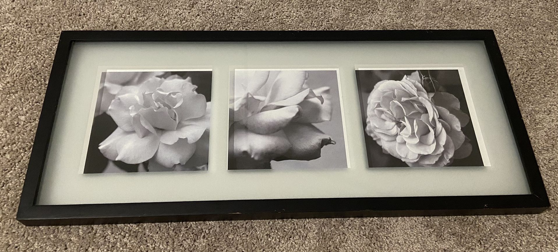 Black and White Rose Flower Wall Art