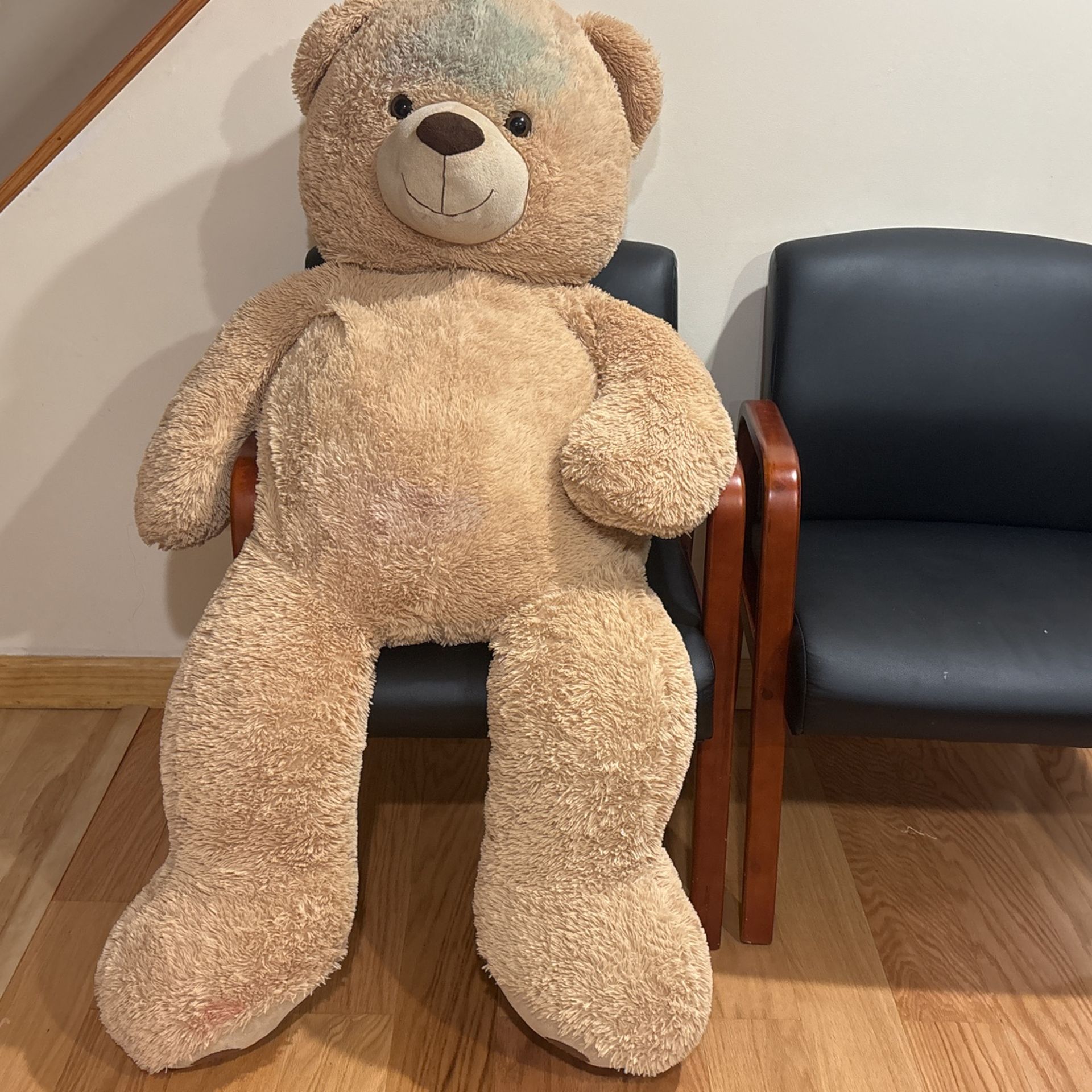 Teddy Bear