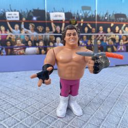 Wrestling Figure Sale : Brutus The Barber Beefcake 