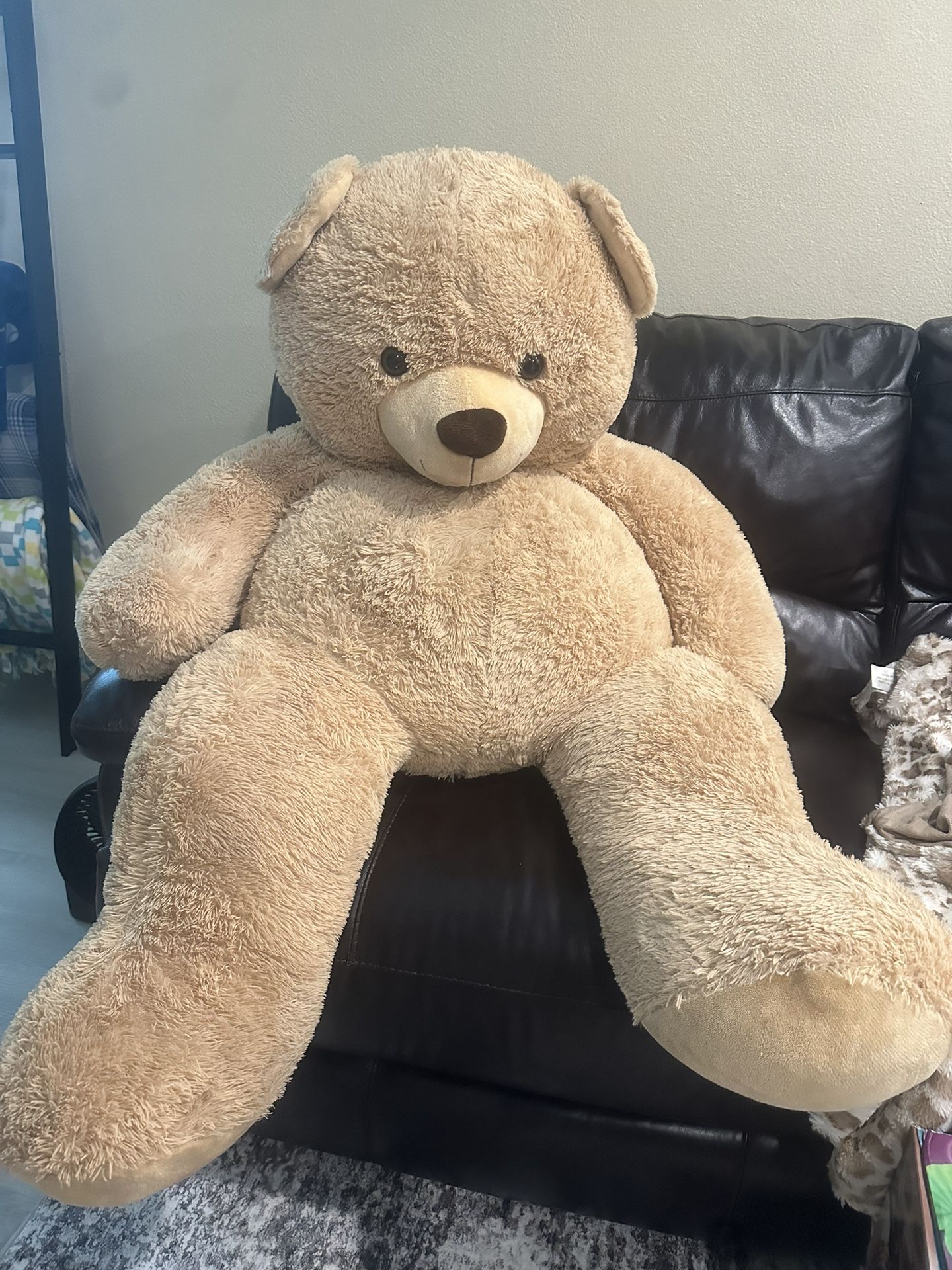 Large Bear