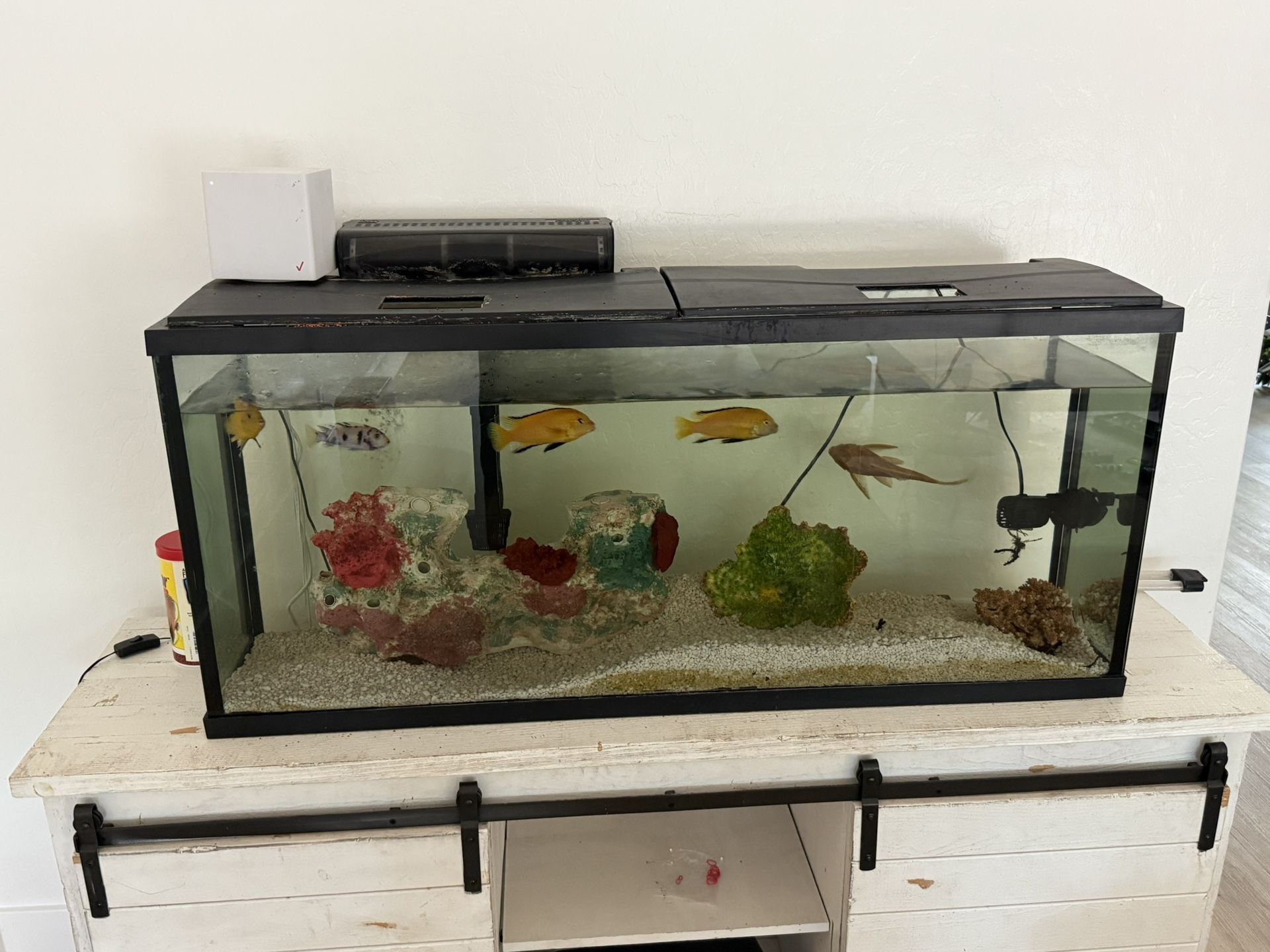 Fish Tank