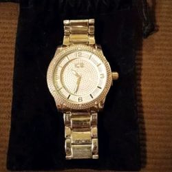 The Master of Bling ICE MASTER Stainless Steel Diamond Dust Watch with GITD Hands 