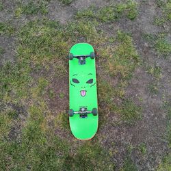 Rip And Dip Skate Board