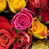 Safy Hadi