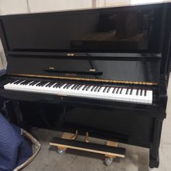 Shiny Black Apollo Piano 