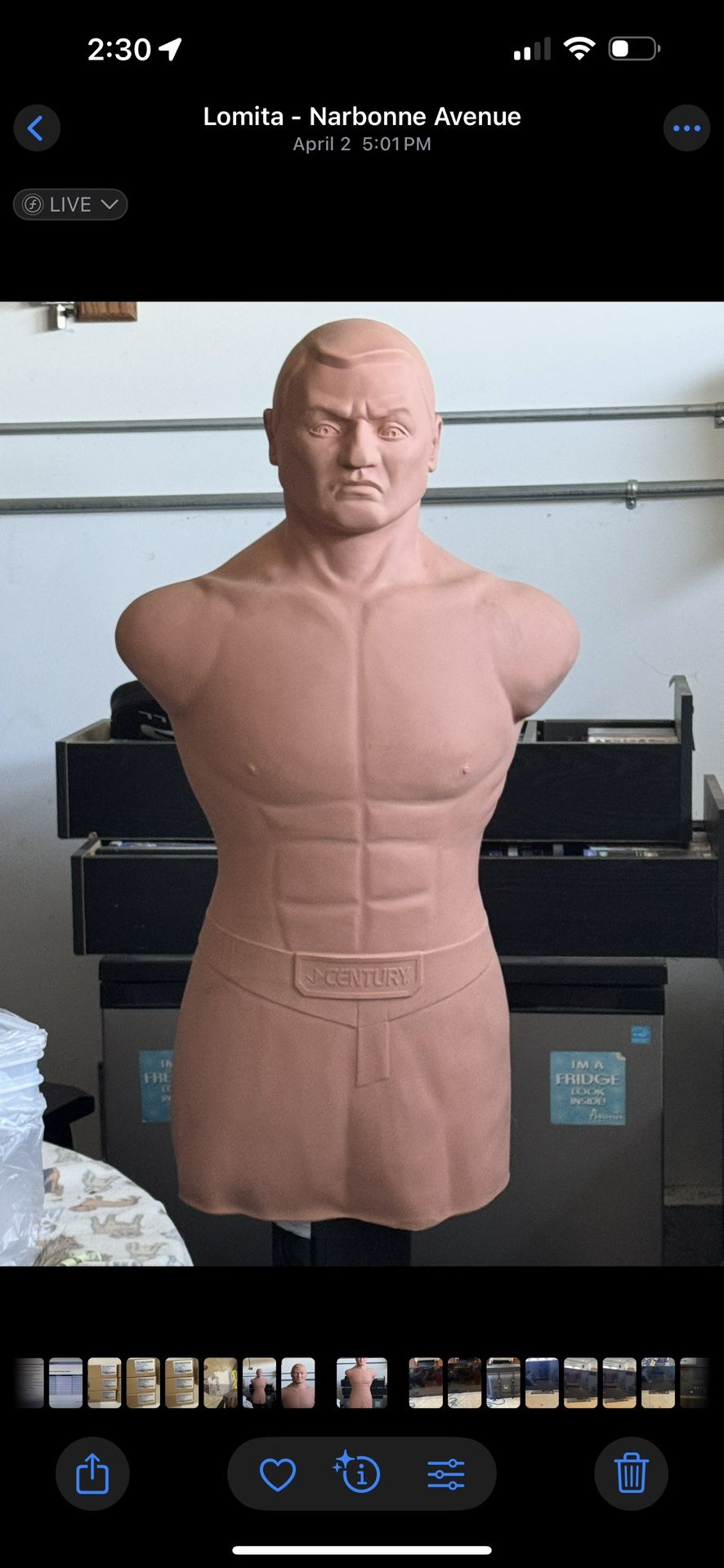punching Bag, XL Bob Torso