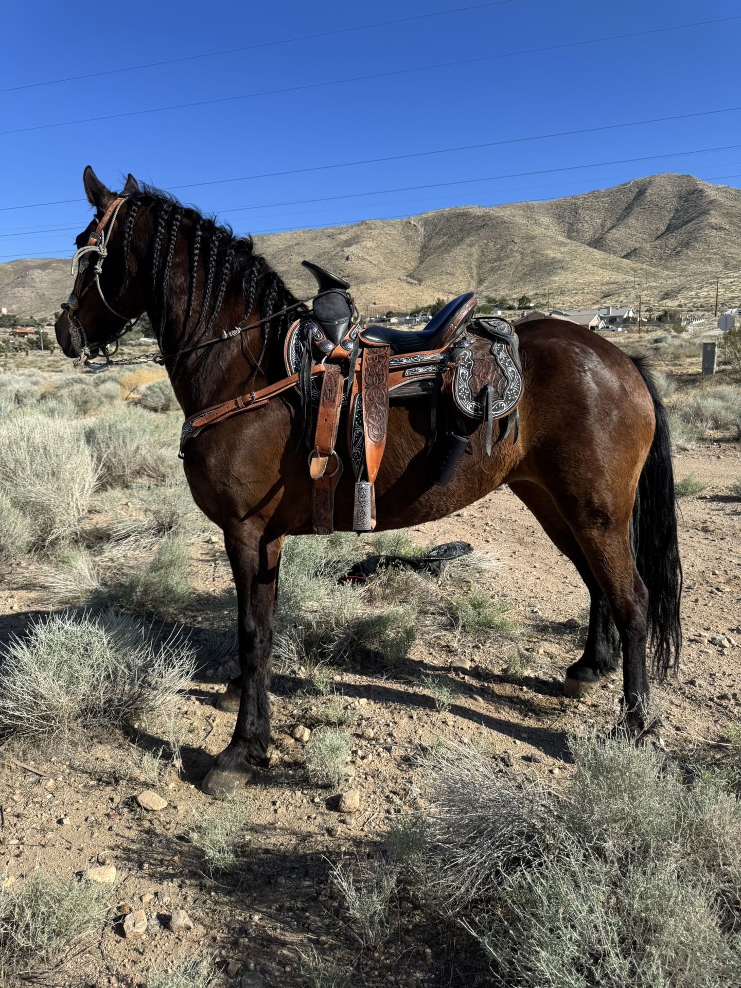 Horse Frame