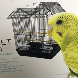 Brand New birds cage