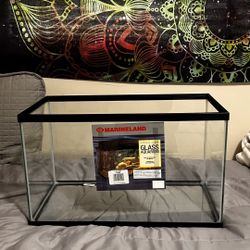 10 Gallon Aquarium