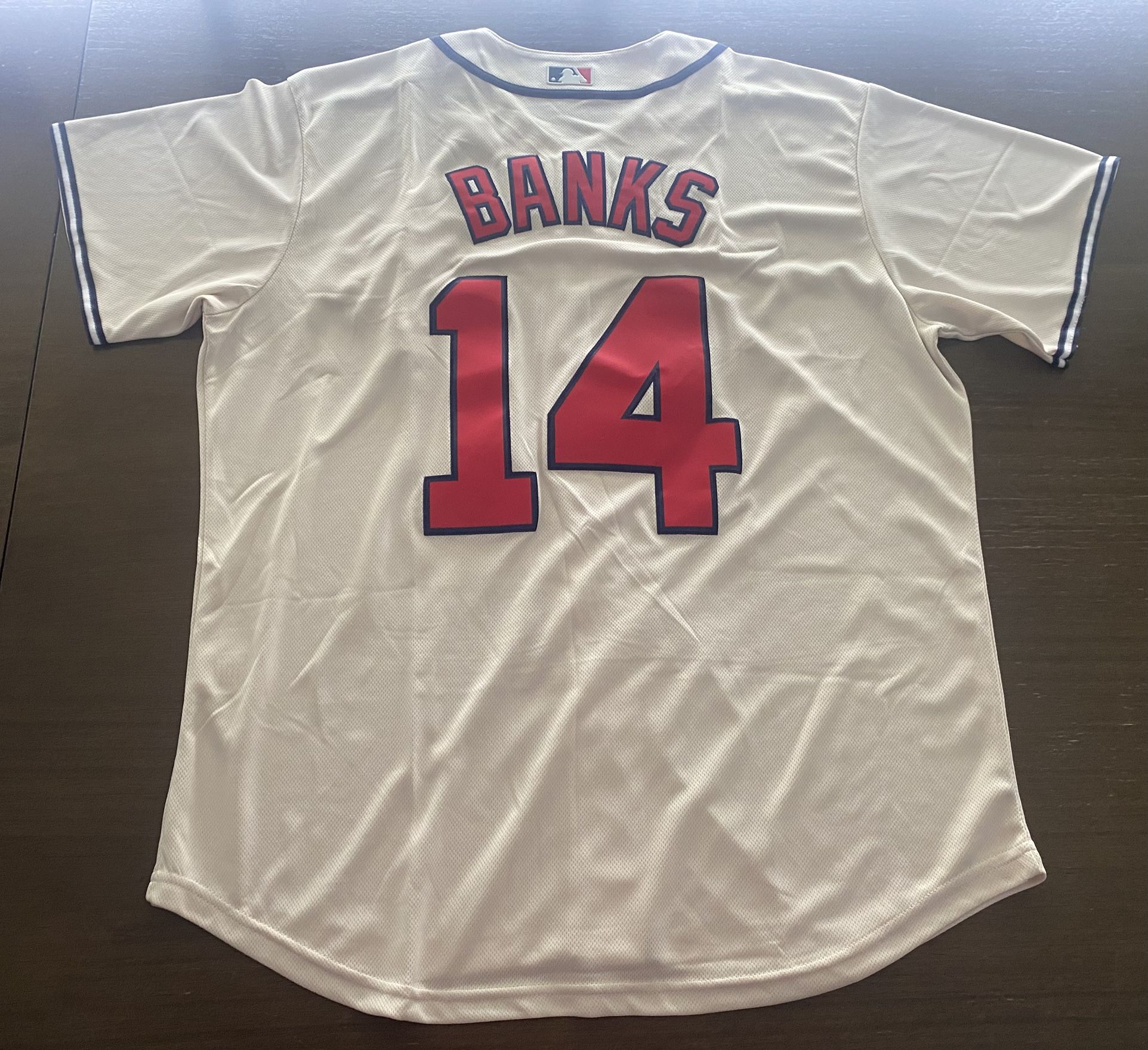 Ernie Banks Chicago Cubs Baseball Jersey New MLB HOF Fast Ship Wrigley Large L