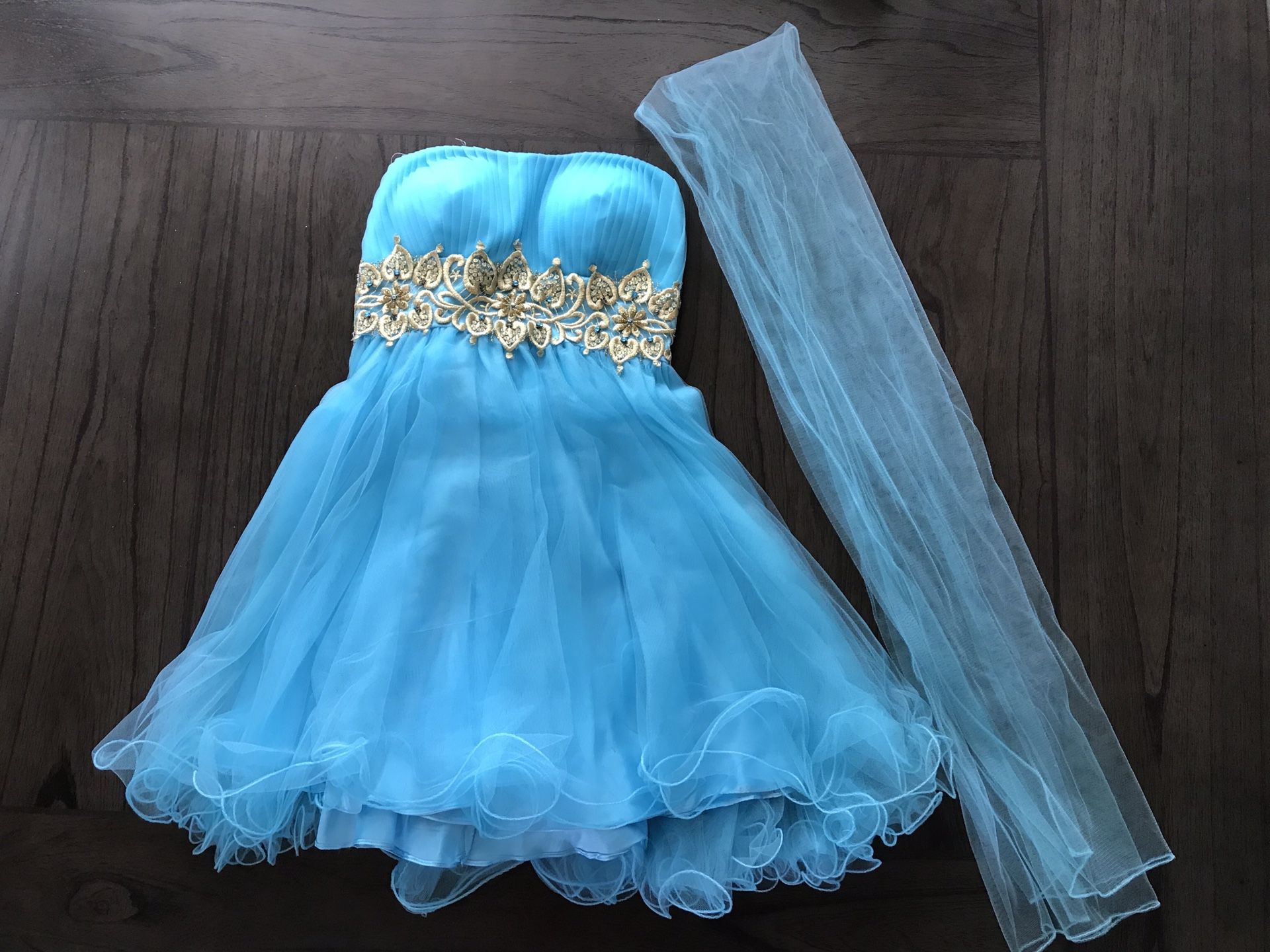 Cinderella short dress