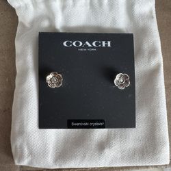 Coach Earrings