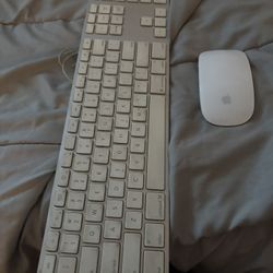 Apple Keyboard And Wireless Mouse 
