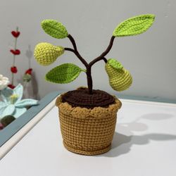 🧶Cute Crocheted Pear 🌲